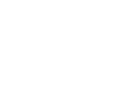 Cirque Du Solei