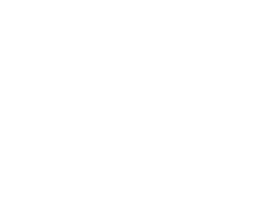ICM Partners